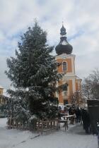 IMG_7064.jpg