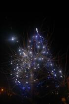 IMG_7158.jpg