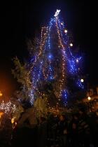 IMG_7117.jpg