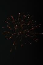 IMG_5919.jpg
