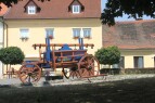 IMG_0074.jpg