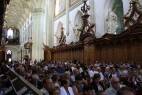 IMG_7800.jpg