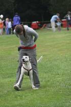 IMG_2467.jpg