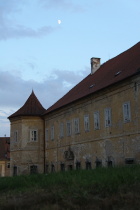 IMG_3733.JPG