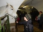 besídka na ponyfarmě 2015 018.JPG