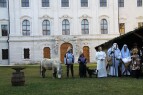 IMG_2751.jpg