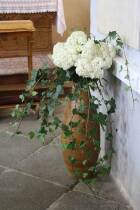 IMG_6622.jpg