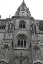 IMG_8979.JPG