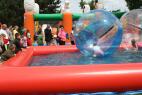 IMG_1508.jpg