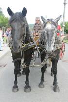 IMG_8953.jpg