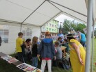 IMG_9224.JPG