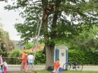 IMG_9294.JPG