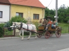 IMG_9091.jpg