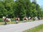 den koní 2016 006.JPG