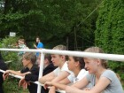 den koní 2016 043.JPG