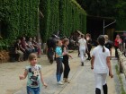 den koní 2016 068.JPG