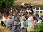 den koní 2016 074.JPG