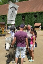 IMG_9567.jpg
