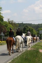 IMG_9598.jpg