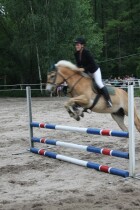 IMG_9655.jpg
