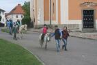 IMG_5190.jpg