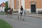 IMG_5200.jpg