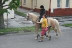 IMG_5211.jpg