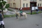 IMG_5207.jpg