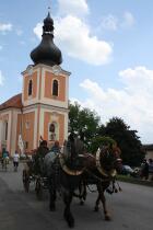 IMG_0917.jpg