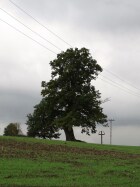 DSC05121.JPG