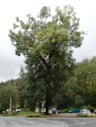 DSC05110.JPG