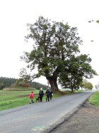 DSC05133.JPG
