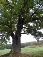 DSC05137.JPG