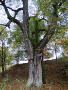 DSC05165.JPG