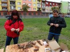 DSC05179.JPG