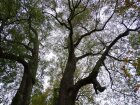 DSC05169.JPG