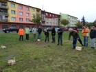 DSC05183.JPG