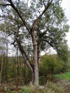 DSC05142.JPG