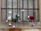 DSC07987.JPG