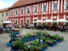 DSC07993.JPG