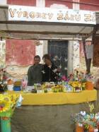 IMG_5864.jpg