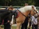 Dětská Hubertovka 2015 018.JPG