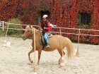 Dětská Hubertovka 2015 041.JPG