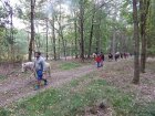 Dětská Hubertovka 2015 056.JPG