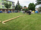 IMG_9380.JPG