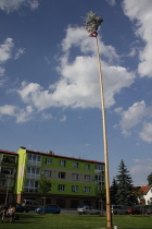 IMG_5830.JPG