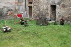 IMG_8956.jpg
