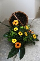 IMG_8977.jpg