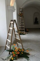 IMG_8978.jpg