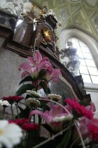 IMG_9018.jpg